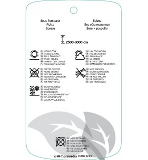 Etichette di Picea abies *