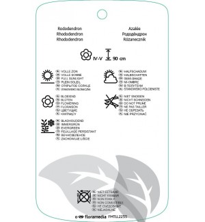 Etichette di Rhododindron [Dauricum Group] ‘Elite’ *