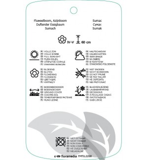 Etichette di Rhus aromatica ‘Grow-Low’ *