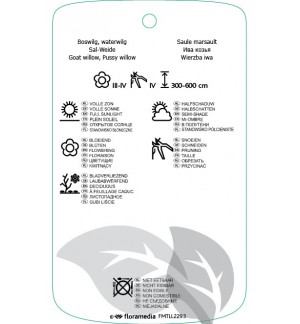 Etichette di Salix caprea *