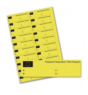 Etiquetas Pasaporte / Amarillo (20 etiq. hoja)