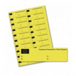 Etiquetas Pasaporte / Amarillo (20 etiq. hoja)