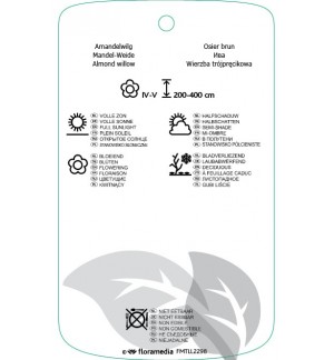 Etichette di Salix triandra *