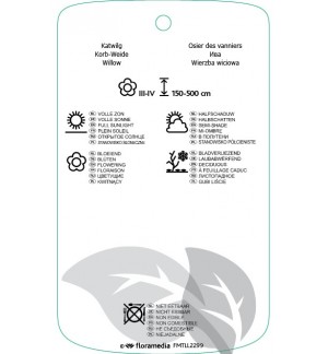 Etichette di Salix viminalis *