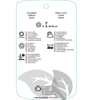 Etichette di Stevia rebaudiana ‘Zuckerhut’ *