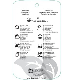 Etichette di Symphoricarpos xchenaultii ‘Hancock’ *