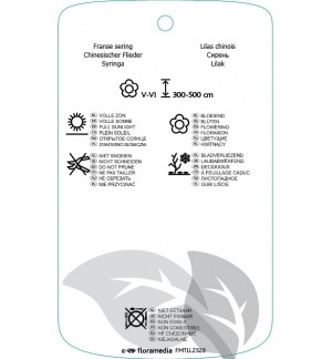 Etichette di Syringa chinensis *