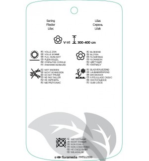 Etichette di Syringa ‘Isabella’ *