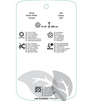 Etichette di Syringa swegiflexa *