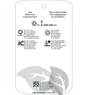 Etichette di Tilia cordata *