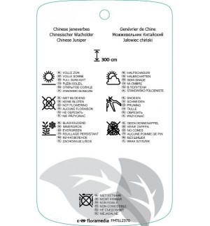 Etichette di Juniperus chinensis ‘Obelisk’ *