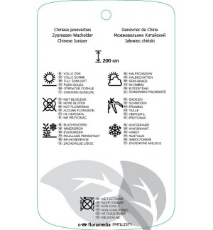 Etichette di Juniperus chinensis ‘Spartan’ *