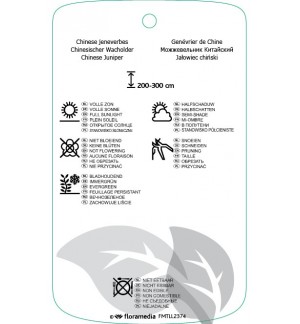 Etichette di Juniperus chinensis ‘Blaauw’ *