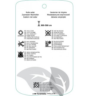 Etichette di Juniperus virginiana ‘Canaertii’ *