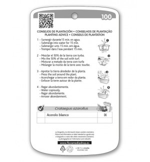 Etichette di Acerolo (blanco)