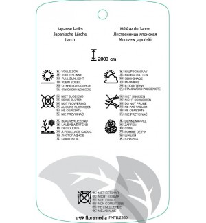 Etichette di Larix kaempferi *