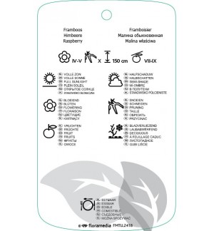 Etichette di Rubus idaeus ‘Goldin Queen’ *