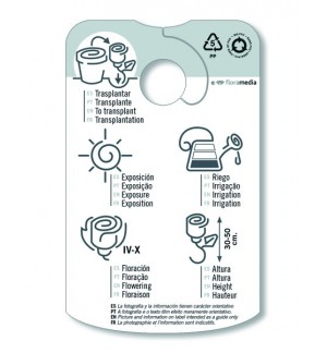 Etichette di Rosal Naranja - Trepador