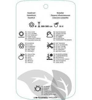 Etichette di Corylus avellana ‘Wundir aus Bollweiler’ *