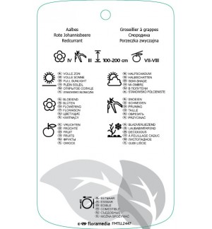 Etichette di Ribes rubrum ‘Rolan’ *