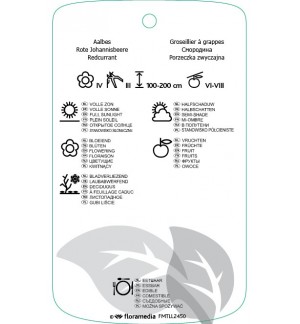 Etichette di Ribes rubrum ‘Rote Holländische’ *