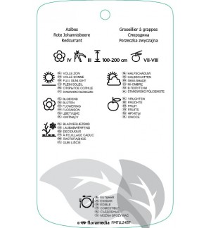 Etichette di Ribes rubrum ‘Blanka’ *