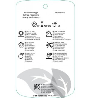 Etichette di Amelanchier arborea 'Robin Hill' *