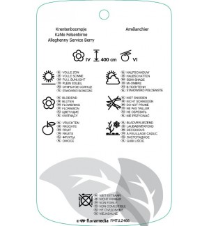 Etichette di Amelanchier laevis ‘Snowflakes’ *