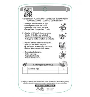 Etichette di Acerolo (rojo)