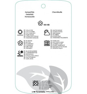 Etichette di Lonicera japonica ‘Red World’ *