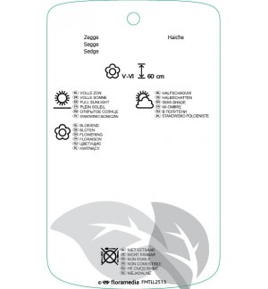 Etichette di Carex ‘Silver sceptre’ *