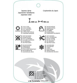 Etichette di Cryptomeria japonica ‘Cristata’ *