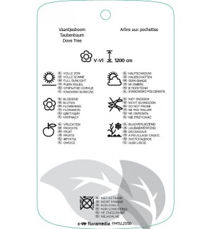 Etichette di Davidia involucrata *