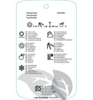 Etichette di Cotoneaster integrifolius *