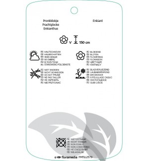 Etichette di Enkianthus perulatus *