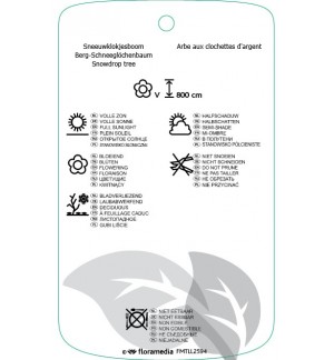 Etichette di Halesia monticola *