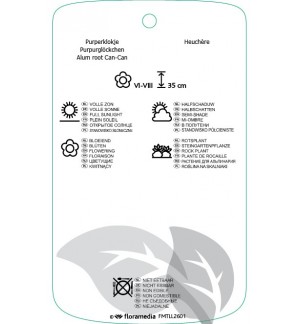 Etichette di Heuchera ‘Can Can’ *