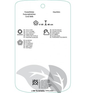 Etichette di Heuchera ‘Regina’ *