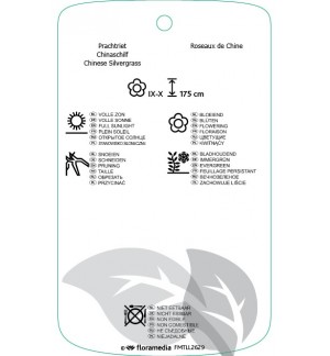 Etichette di Miscanthus sinensis ‘Silberfedir’ *