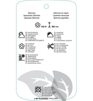 Etiquetas de Skimmia japonica ‘Olympic Flame’ *