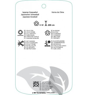 Etichette di Viburnum plicatum ‘Pink Beauty’ *