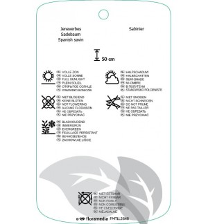 Etichette di Juniperus sabina *