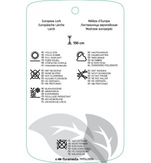 Etiquetas de Larix decidua ‘Globus’ *