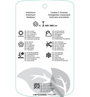 Etichette di Liquidambar acalycina *