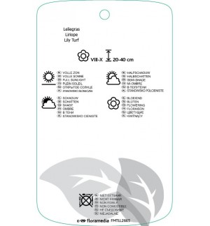 Etichette di Liriope muscari ‘Big Blue’ *