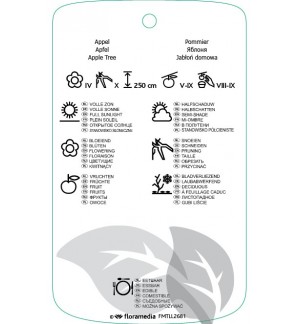 Etichette di Malus domestica ‘Sterappel’ *