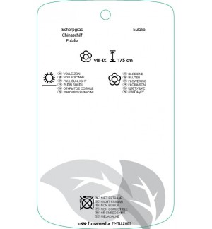 Etichette di Miscanthus sinensis ‘Strictus’ *