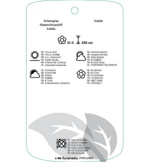 Etichette di Miscanthus xgiganteus *