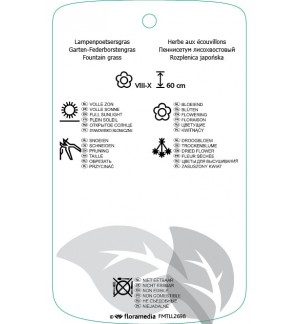 Etichette di Pennisetum alopecuroidis *