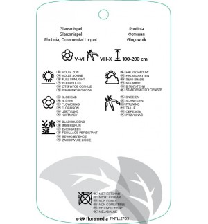 Etichette di Photinia xfraseri ‘Red Select’ *